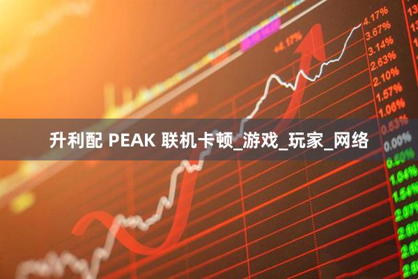 升利配 PEAK 联机卡顿_游戏_玩家_网络