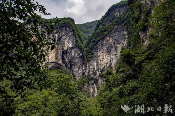 邦乾配倍 巴东金果坪：饮水水源地绘就生态画卷