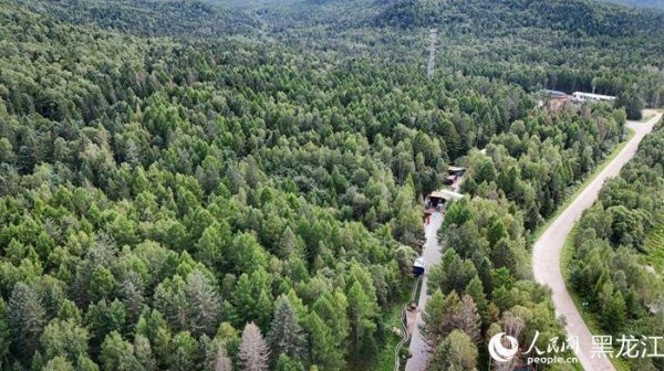 股壹佰 行进中国丨会“呼吸”的奇石森林