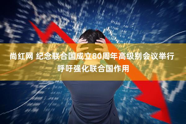 尚红网 纪念联合国成立80周年高级别会议举行 呼吁强化联合国作用