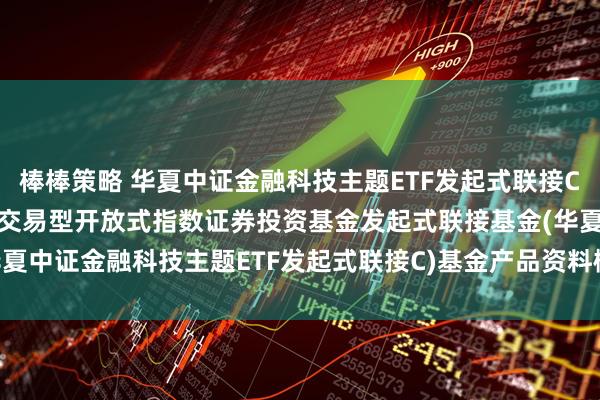 棒棒策略 华夏中证金融科技主题ETF发起式联接C: 华夏中证金融科技主题交易型开放式指数证券投资基金发起式联接基金(华夏中证金融科技主题ETF发起式联接C)基金产品资料概要更新(2025-06-12)