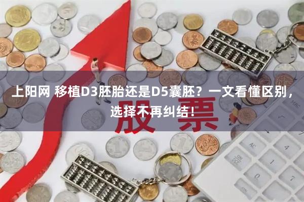 上阳网 移植D3胚胎还是D5囊胚？一文看懂区别，选择不再纠结！