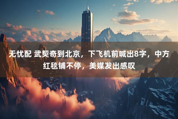 无忧配 武契奇到北京，下飞机前喊出8字，中方红毯铺不停，美媒发出感叹